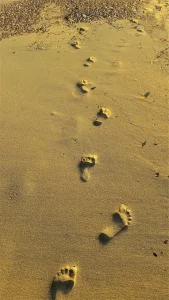 Schritt für Schritt, Fussspuren im Sand