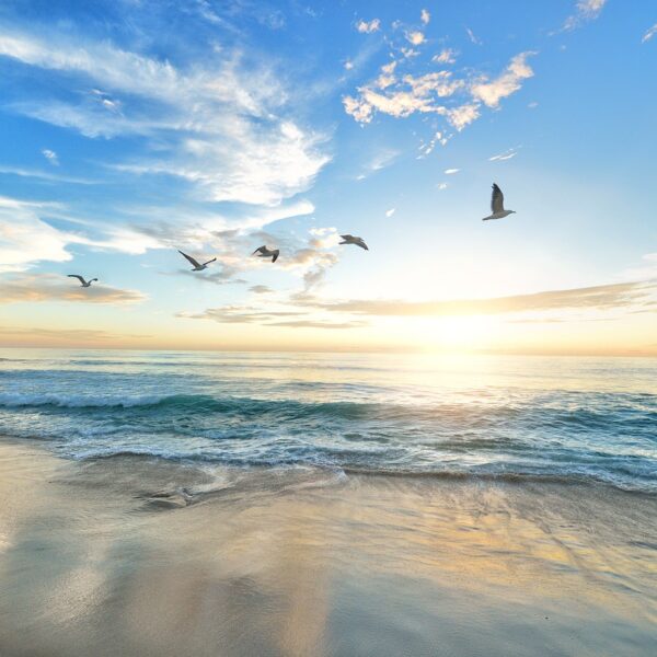 Meer, Strand, Weite, Möwen, Sonnenaufgang